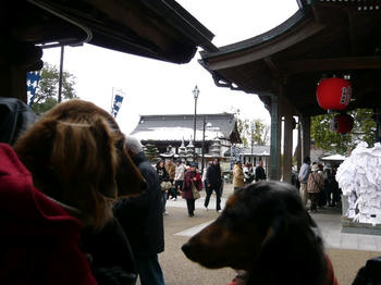 P1000735_025.JPG