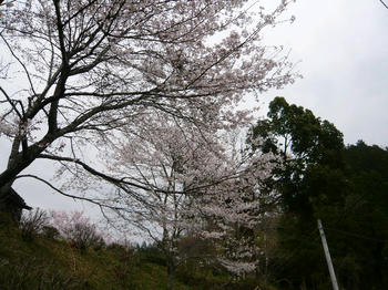 P1010316_025.JPG