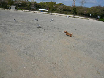 P1010449_025.JPG