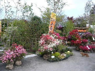 P1010453_010.JPG