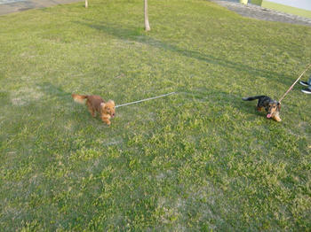 P1010498_025.JPG