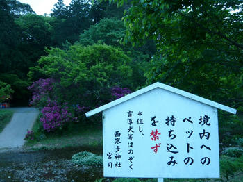 P1010719_025.JPG