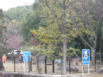 P1040364_025.JPG