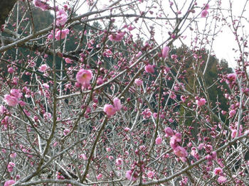P1050150_025.JPG