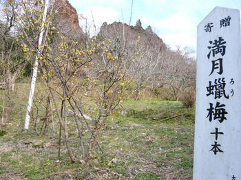 P1050154_025.JPG
