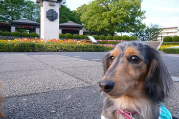 P1060500_025.JPG