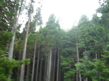 P1060656_025.JPG