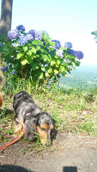 P1070081_025.JPG