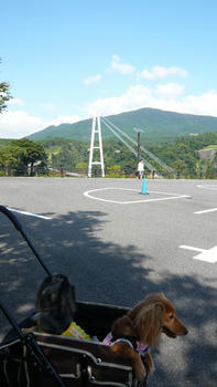 P1080419_025.JPG