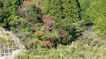 P1090284_025.JPG
