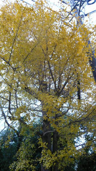 P1090450_025.JPG