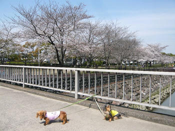 P1100280_025.JPG