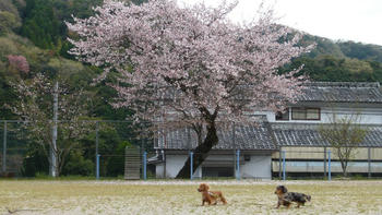 P1100444_025.JPG