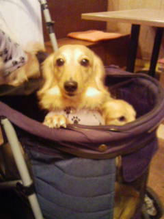 201012283.jpg