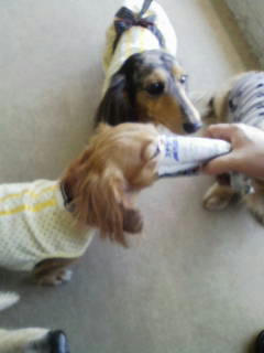 201012286.jpg