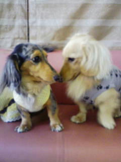 201012287.jpg