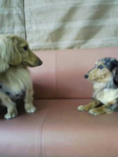 201012288.jpg