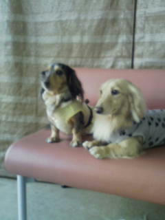 201012289.jpg