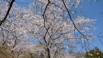 P1150410_025.JPG