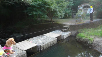 0f54839a.JPG