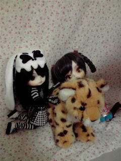 2009111412540000.jpg
