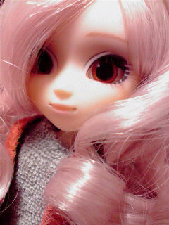 2010012600370000.jpg