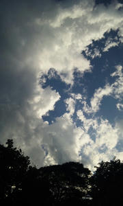 120821_1716~01.jpg