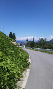 120821_1205~01.jpg
