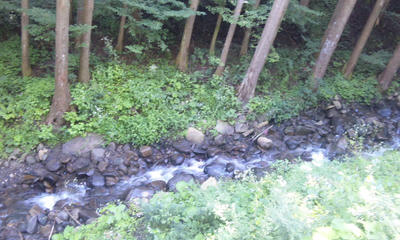 120821_0943~010001.jpg
