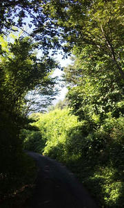 120821_0808~01.jpg
