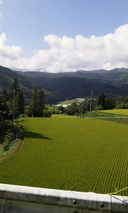 120820_0847~02.jpg