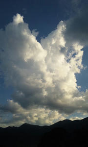 120821_1731~01.jpg