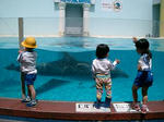 須磨水族園に遠足