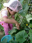 夏野菜どっさり♪