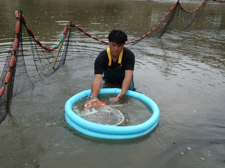 H23池揚げ3