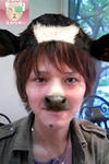 yama2.jpg