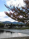 kyoto.jpg
