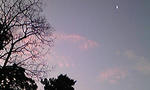 moon.jpg