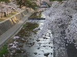 P4130002.JPG