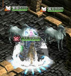 納骨そつぎょー！