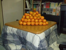kotatsu2.jpg