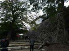 hikone03.jpg