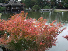 hikone18.jpg