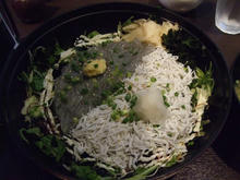 shirasu.jpg