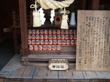 daruma.jpg