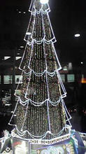 umeda_tree.jpg
