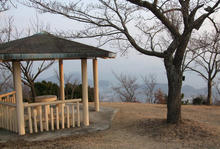 asahi06.jpg