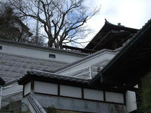 tobishima3-2.jpg