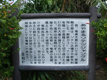 sotetsu2.jpg