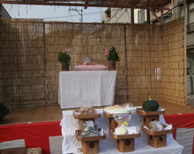 momoneko04.jpg